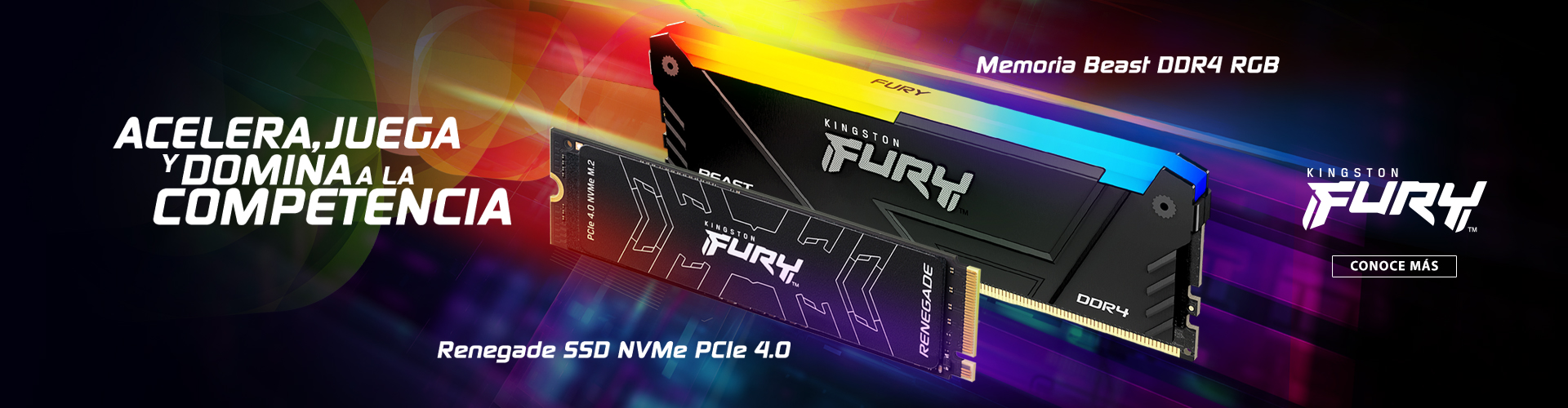 Kingston Fury DDR4